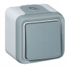 LEGRAND 069711 PLEXO Переключатель одноклавишный на 2 направления, 10А, IP55, для накладного монтажа, серый